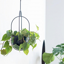 Hanging Deco Pot